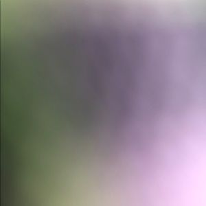 Meet your Posher, Sofia